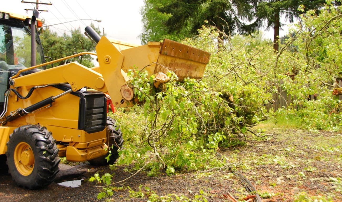 Storm Clean-up